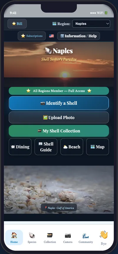 Naples Mania app preview